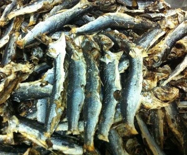 Roasted dried tobiuo