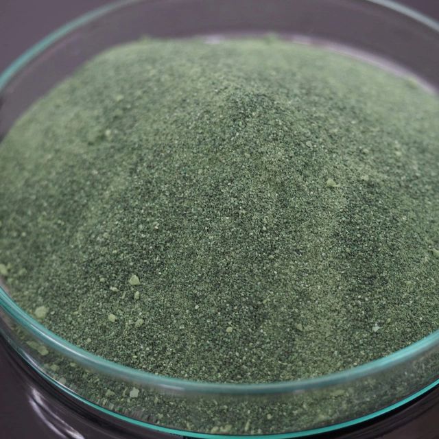 Indonesian Spirulina Product