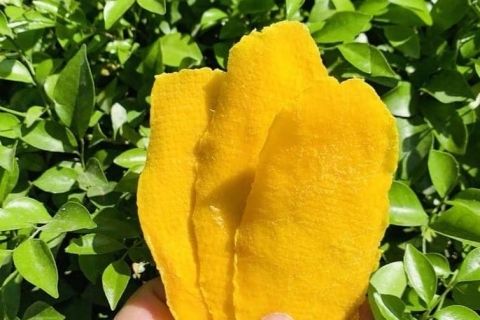 Soft Dried Mango from Vietnam